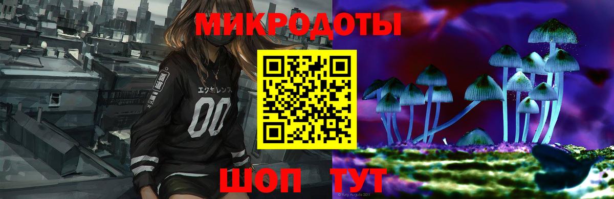 Псилоцибиновые грибы GOLDEN TEACHER  Галлюциногенные грибы Psilocybine cubensis  Вход с VPN  Кировск 